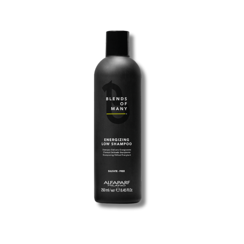 ENERGIZING LOW BLENDS OF MANY šampon Alfaparf 250 ml
